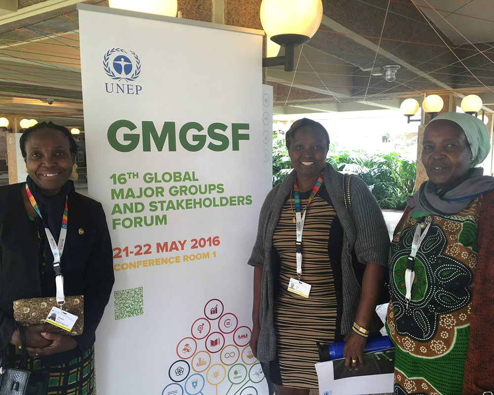 Reflection on the second session of the United Nations Environmental Assembly