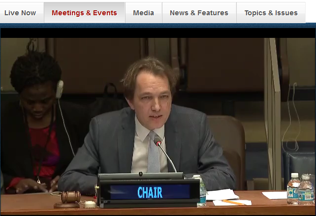 United Nations 55th Commission for Social Development