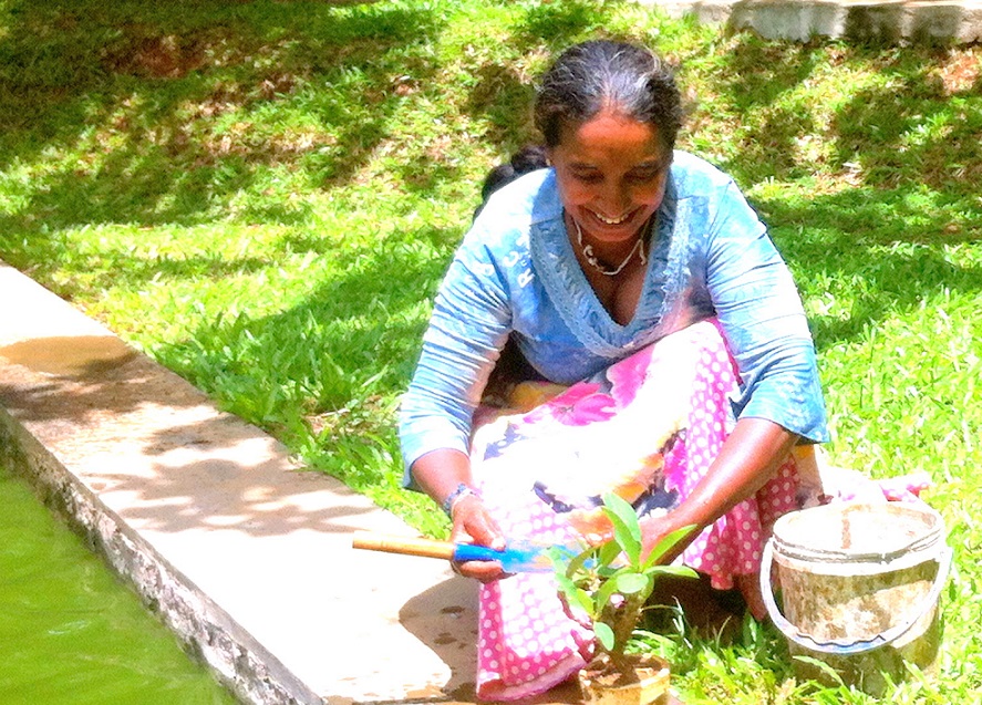 Understanding the gender dimension of water and waste