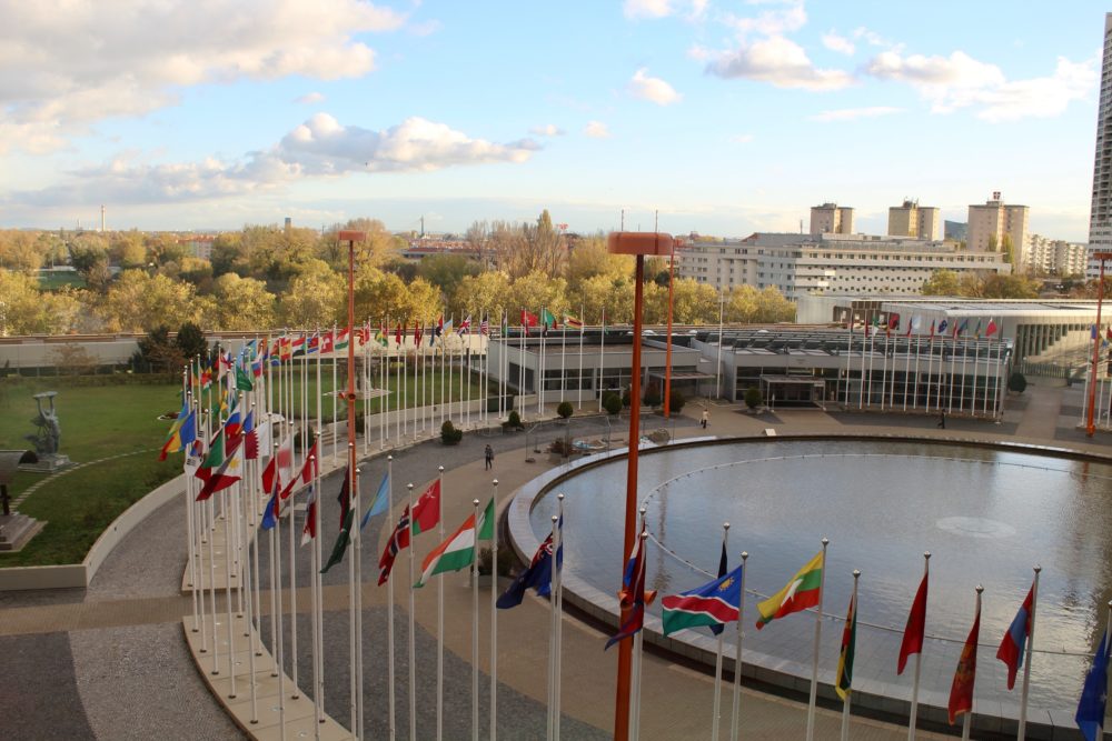 #2 Your Voice at the United Nations