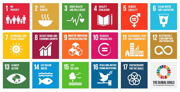 Transformative Pathways to a Sustainable Future